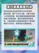 远光84手游英文名大曝光💥，玩家必看！截图3