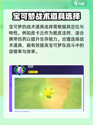宝可梦大集结怎么换对战道具介绍截图4