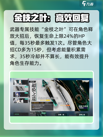斯露德金枝言武器评测💥，玩家必看🔥！截图3