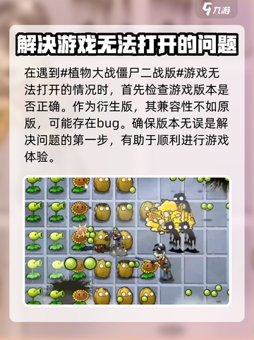植物大战僵尸二战版打不开怎么办介绍截图2