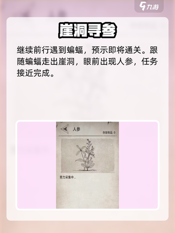 《荒野日记崖洞通关秘籍！🔥》截图4
