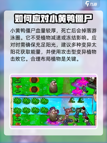 植物大战僵尸：小黄鸭僵尸弱点大曝光！🎯游戏技巧全解析！截图5