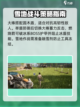 荒野起源🔥必备工具大揭秘！玩家必看⚡截图3