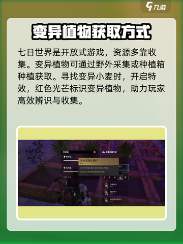 七日世界变异小麦这么获取介绍截图2
