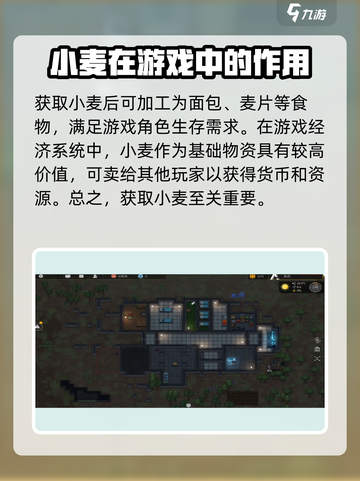 秩序新曙光💥：快速获取小麦方法🎉截图4