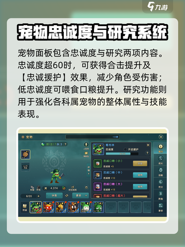 魔力宝贝复兴版🔥神宠养成秘籍！法宠C位出道✨截图9