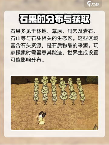 饥荒联机版石果采摘消失怎么办介绍截图4