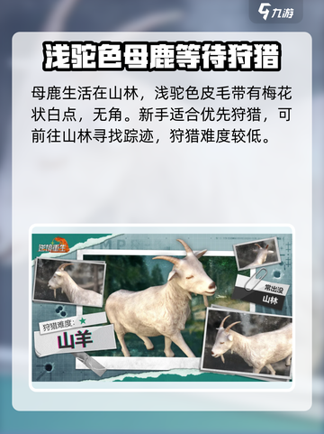 逆境重生🔥母鹿出没位置及作用揭秘🎮截图2