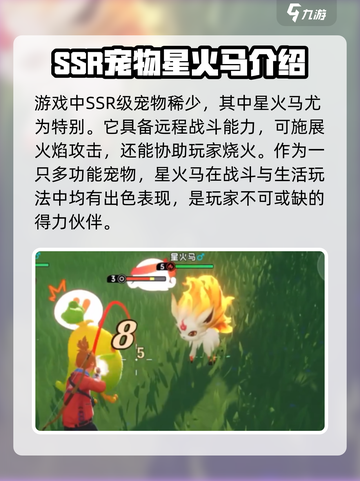 酷比大陆ssr宠物有哪些介绍截图2