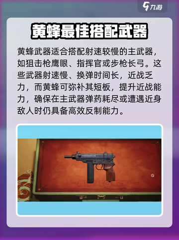 《王牌战士2黄蜂技能曝光！✨》截图4