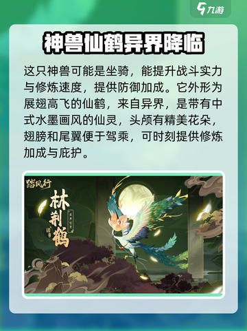 踏风行林荆鹤怎么样介绍截图3