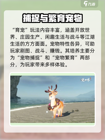 逆水寒手游育宠怎么玩介绍截图2