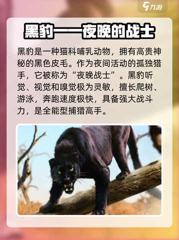 野兽领主新世界黑豹🔥强度逆天，必玩🔥截图3