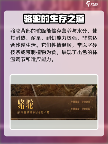 野兽领主新世界🔥骆驼最强攻略🎉截图3