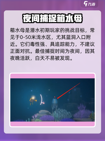 潜水员戴夫水母怎么抓介绍截图2