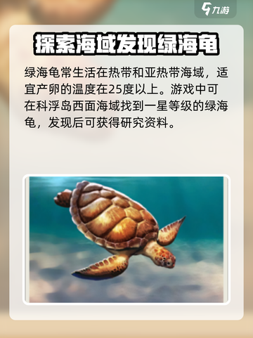 黎明之海💚绿海龟获取攻略，快速入手秘籍！截图2