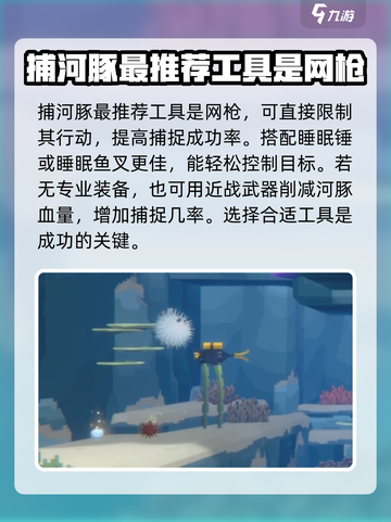 潜水员戴夫河豚怎么抓介绍截图2
