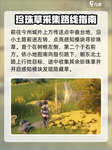 鸣潮🔥珍珠草速刷攻略💎轻松获取秘籍！截图2