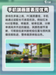 远光84手游画质怎么样介绍截图4