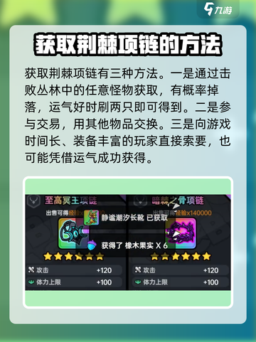 英勇之地荆棘项链怎么获得介绍截图5