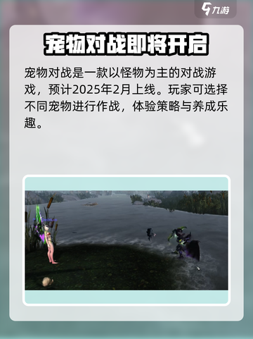 宠物对战公测什么时候介绍截图2