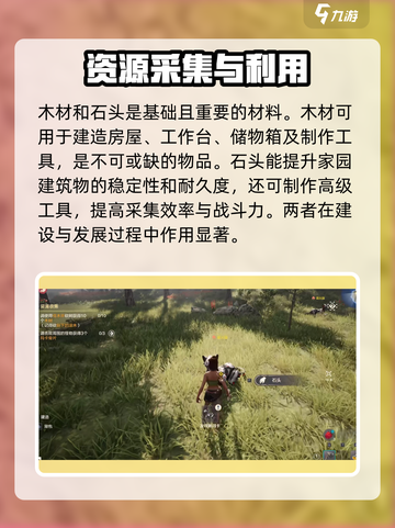 荒野起源🔥必备物品大揭秘！玩家必看⚡截图4