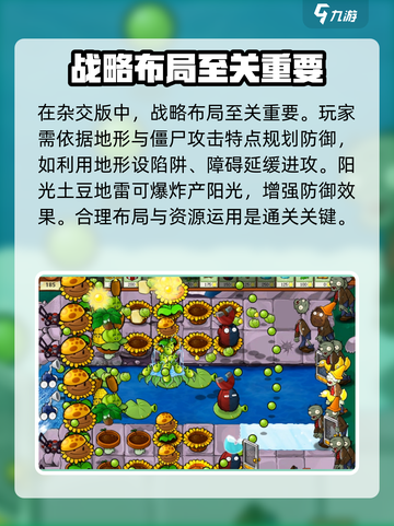 植物大战僵尸杂交版🎉公测时间终于曝光！截图4