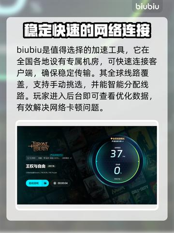 王权与自由延迟高？❌解决方法来了！🔥截图3