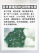 射雕帮会联赛玩法什么时候出介绍截图4