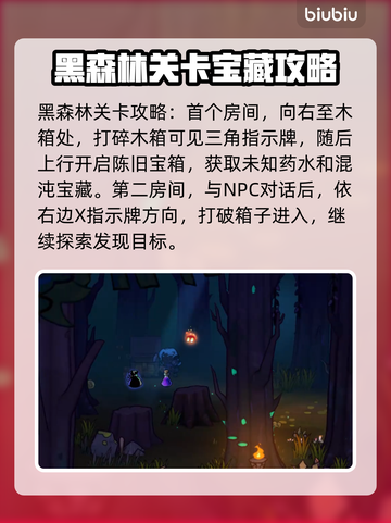 失落城堡2😎隐藏宝箱位置大揭秘🔥截图2