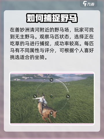 燕云十六声怎么抓马介绍截图2