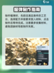 七日世界榴弹怎么做介绍截图4