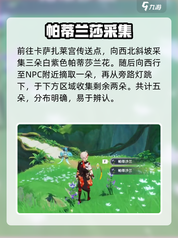 原神✨帕蒂莎兰全采集点曝光！🌿截图2
