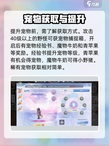 仙境传说ro爱如初见宠物进阶攻略介绍截图3