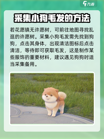 无限暖暖狗狗在哪介绍截图5