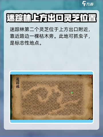 大侠立志传灵芝在哪介绍截图5
