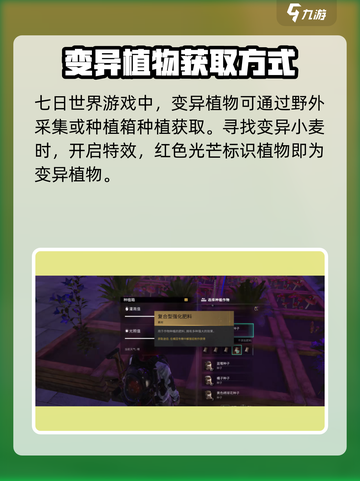 七日世界变异小麦这么获取介绍截图2