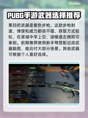 七日世界前期武器搭配🔥新手必看💥截图4
