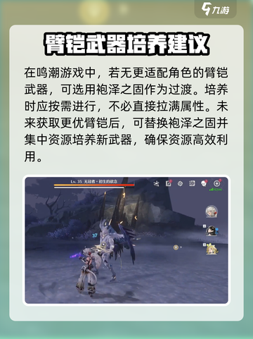 鸣潮🔥袍泽之固几星武器？培养方法全揭秘！截图4