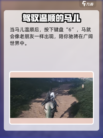 燕云十六声骑马按哪个键介绍截图4