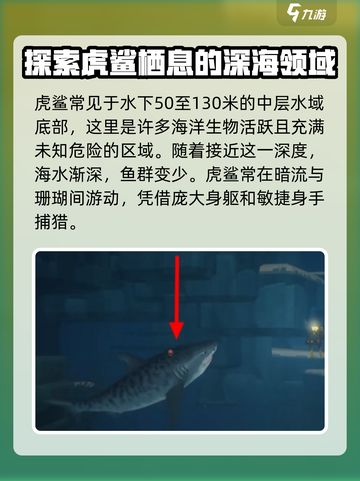 潜水员戴夫虎鲨在哪介绍截图2