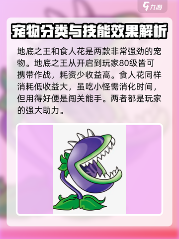 伽蓝城堡新手必看！💥轻松上分秘籍🎉截图5
