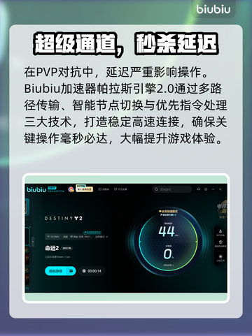 🎮命运2延迟丢包？速看解决攻略！截图3