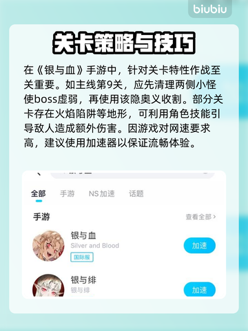🎮银与血国际服下载太慢？速试这些加速器！截图6