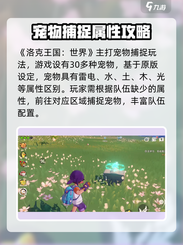 洛克王国手游怎么玩介绍截图2