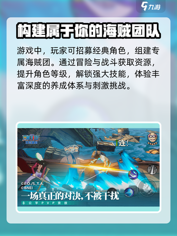 航海王壮志雄心启航同行测试介绍介绍截图4