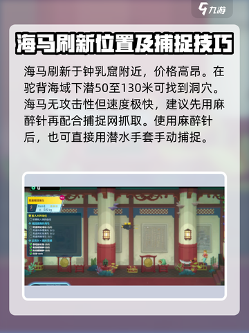 潜水员戴夫怎么抓海马介绍截图3