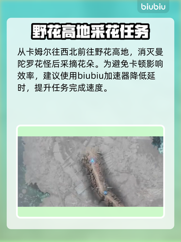 最终幻想7重生🔥山丘花海通关秘籍꽃截图4