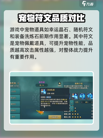 魔力宝贝复兴📖宠物道具全攻略💡宠物养成必备！截图2