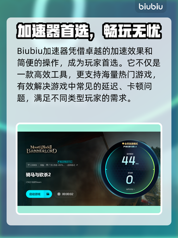 🎮骑马与砍杀2卡顿掉帧？一招解决延迟高问题！截图4